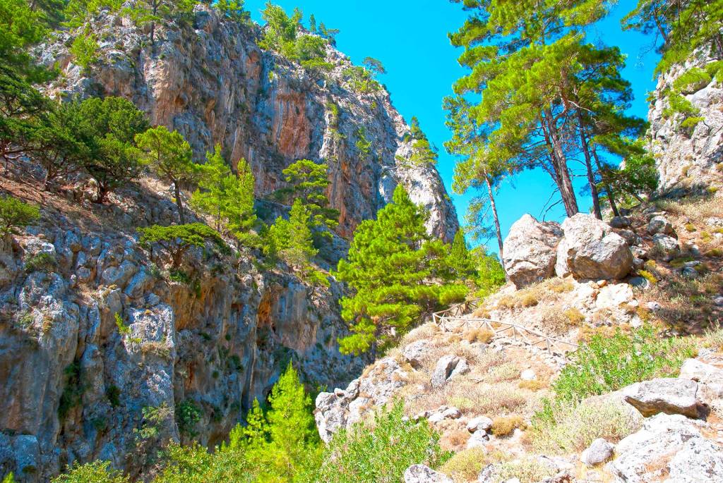 Trees by the rocks of Agia Irini Gorge in Chania.