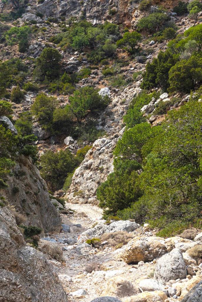 The rocky path of Anidri Gorge in Chania.