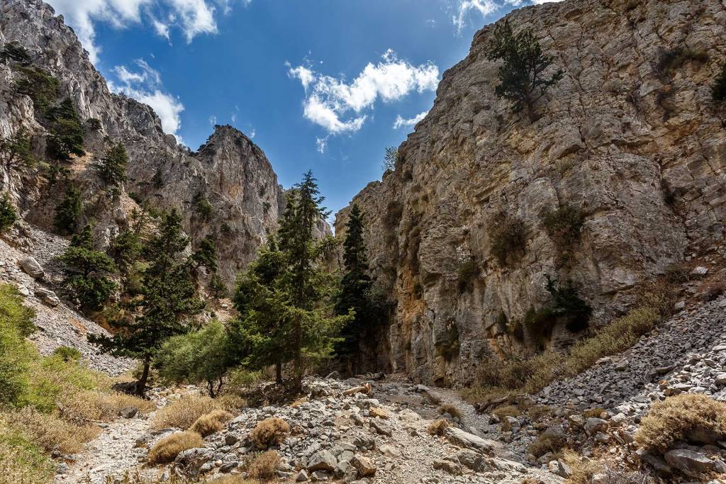 Rocky formations and trees in Imbros Gorge.