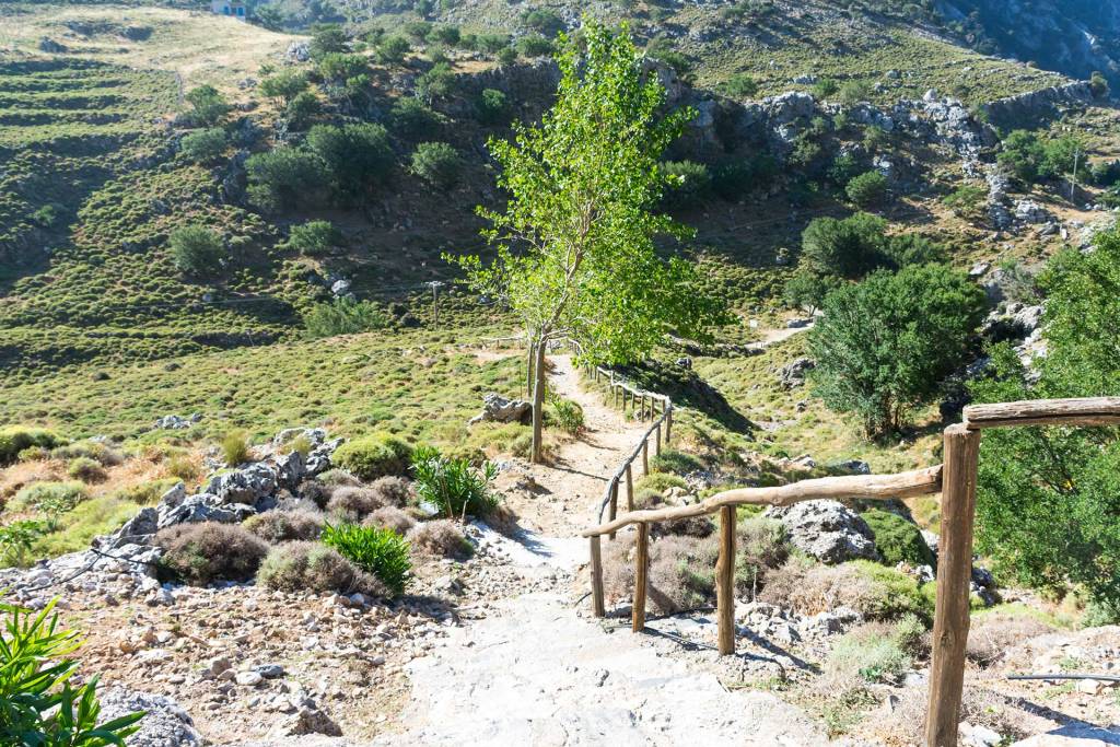 Plants and trees in Imbros Gorge.