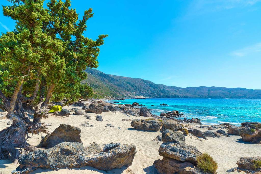 Cedar trees and rocks in Kedrodasos Beach.