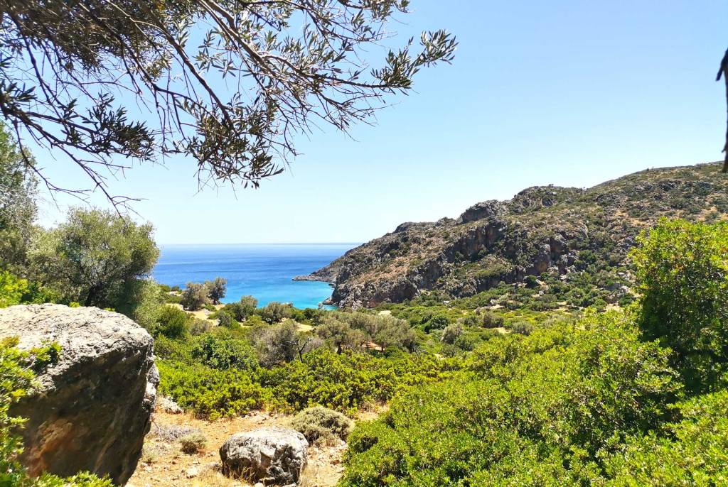 Rocks and trees overlooking Lissos Beach.