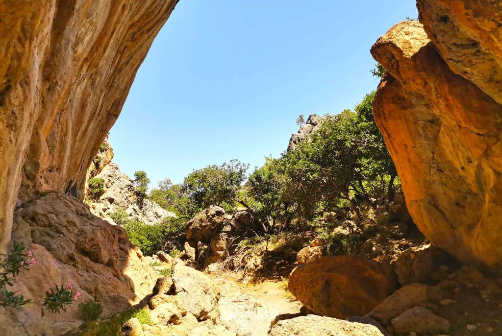 Rocks and trees inside Lissos Gorge.