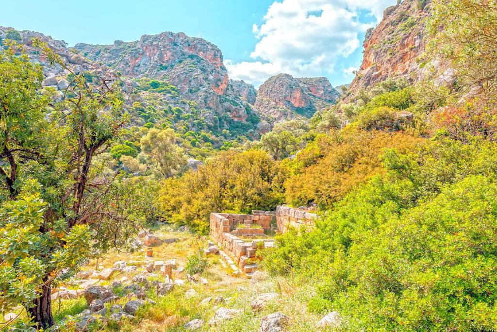 Amazing vegetation in Lissos Gorge.