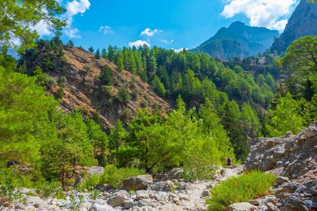 The mountain and the green trees in Samaria Gorge.
