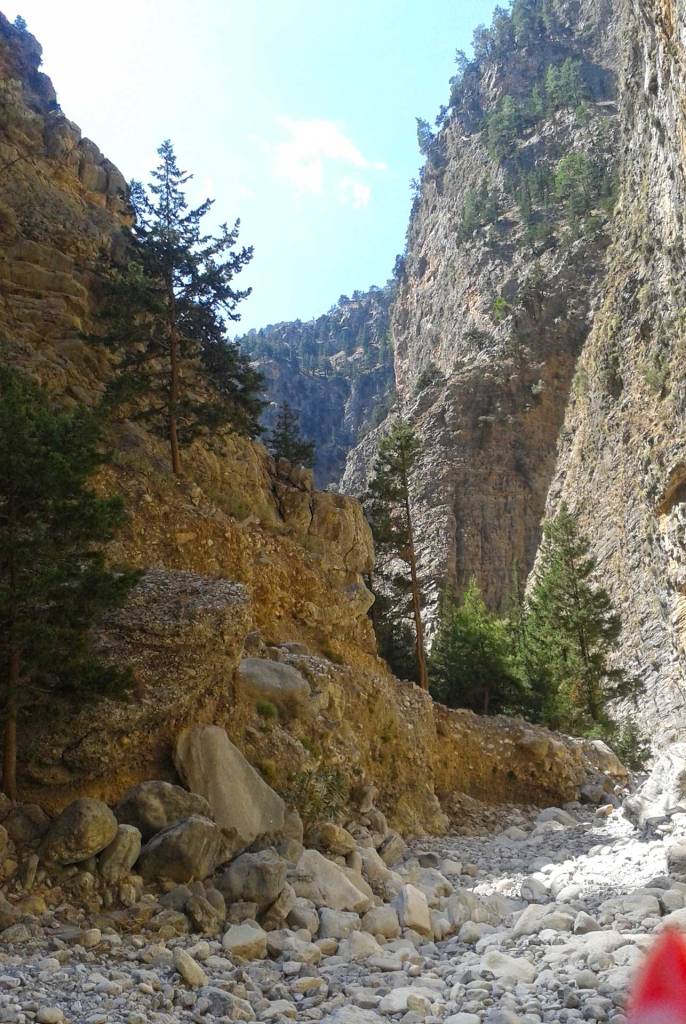 Tall trees and rocks in Samaria Gorge.