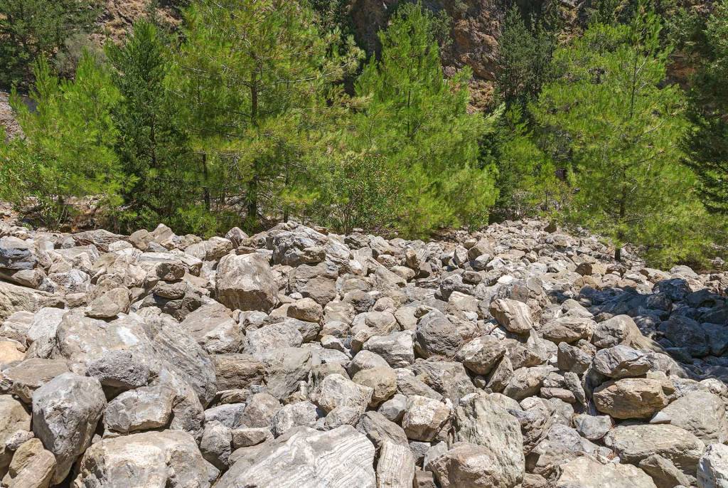 Big rocks and tall trees in Samaria Gorge.