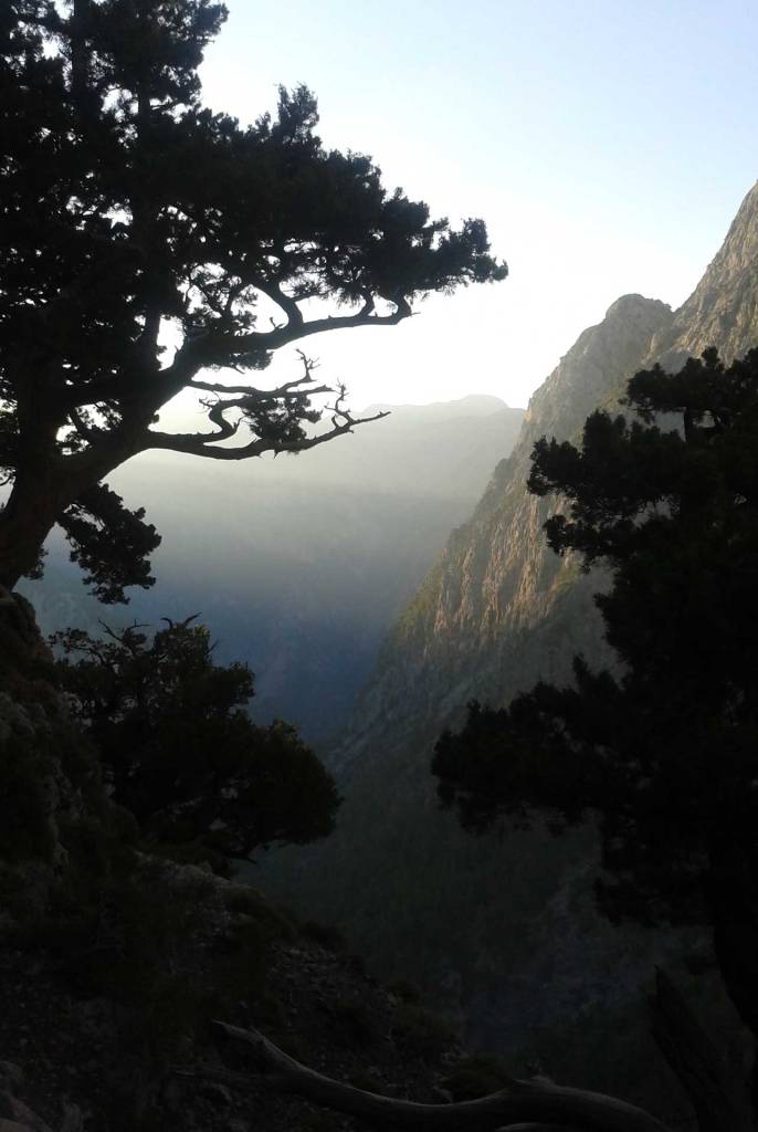The shadows of the trees and the mountains in Samaria Gorge.