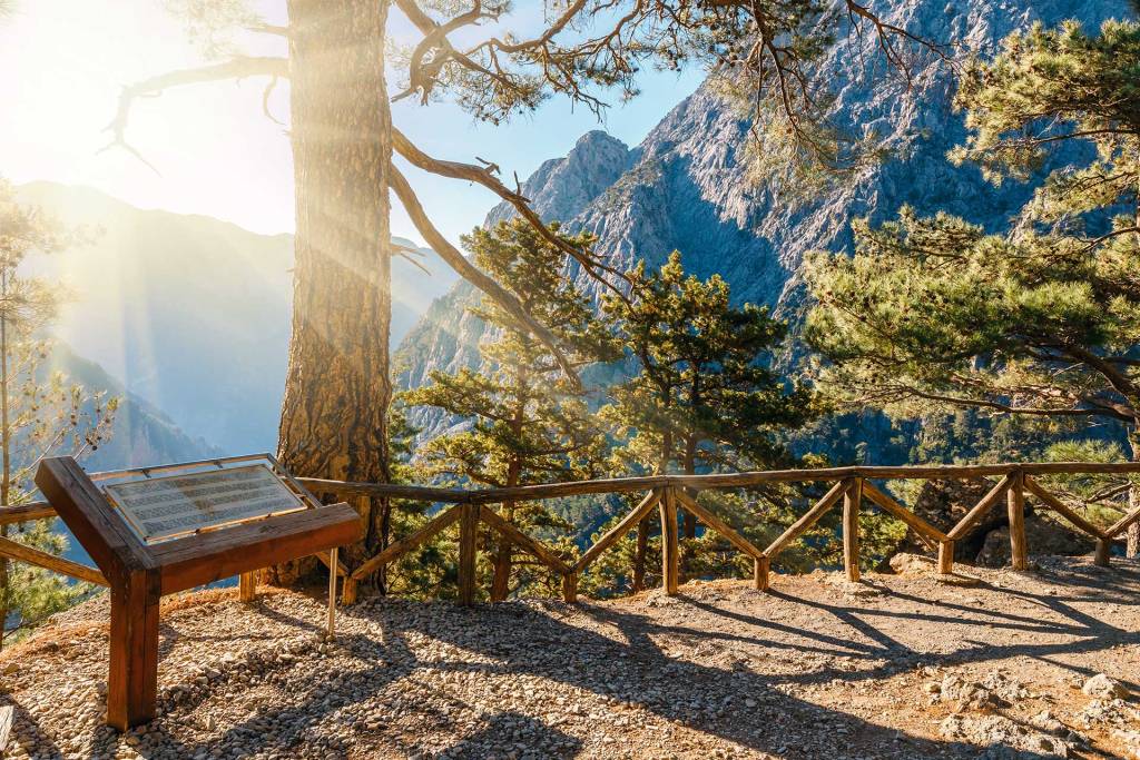 A viewpoint next to tall trees in Samaria Gorge.
