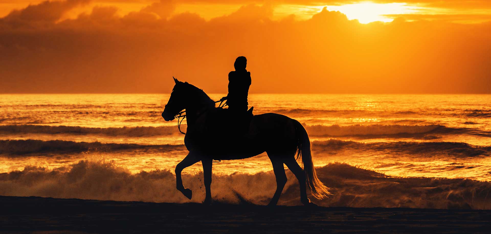 Horseback Riding