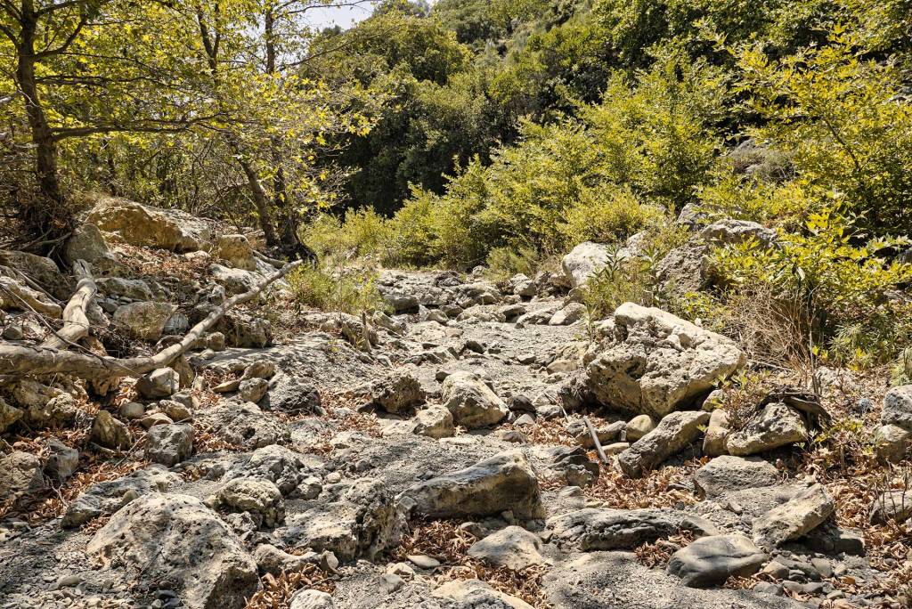 The rocky path of Topolia Gorge in Chania.