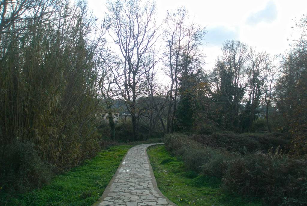 A path through the trees in Agia Village.