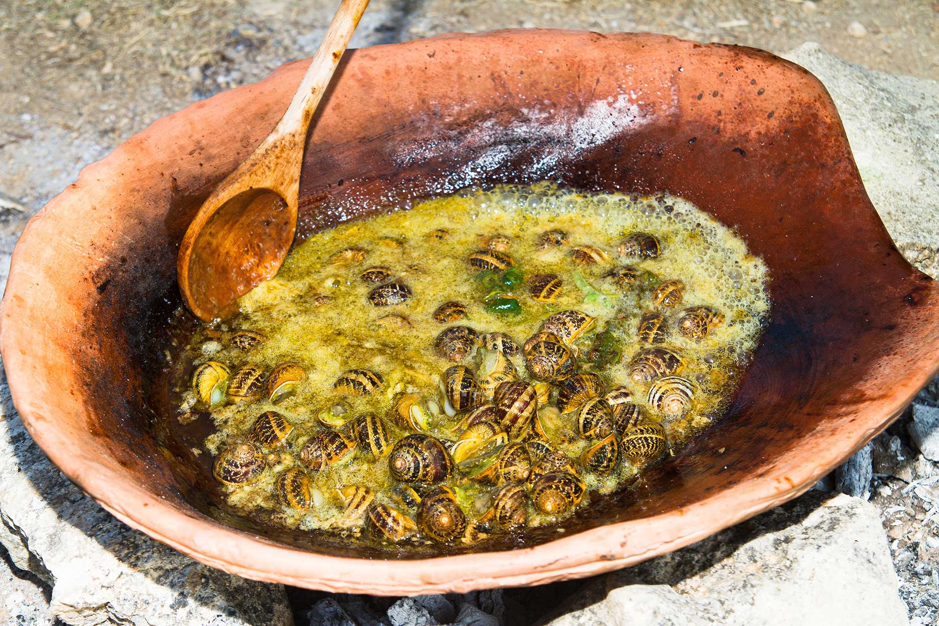 Snails