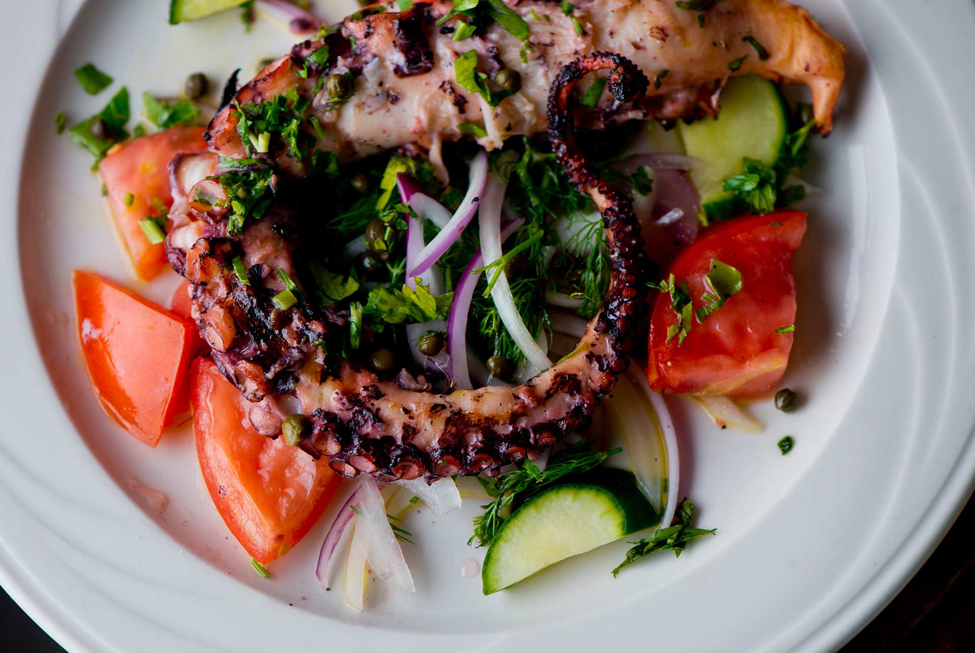Octopus