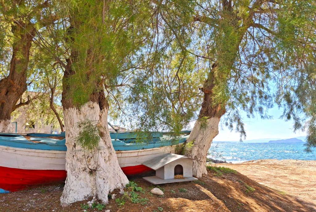 A colorful fishing boat in Agia Kyriaki (Halepa Area).