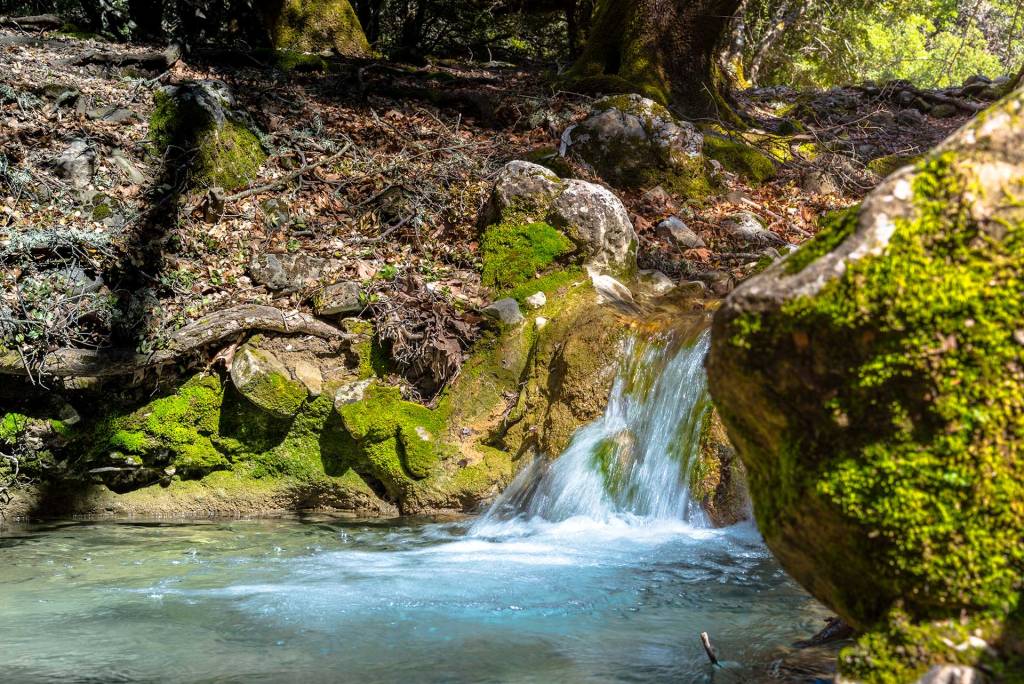 Water spring in Rouvas Gorge, Heraklion.