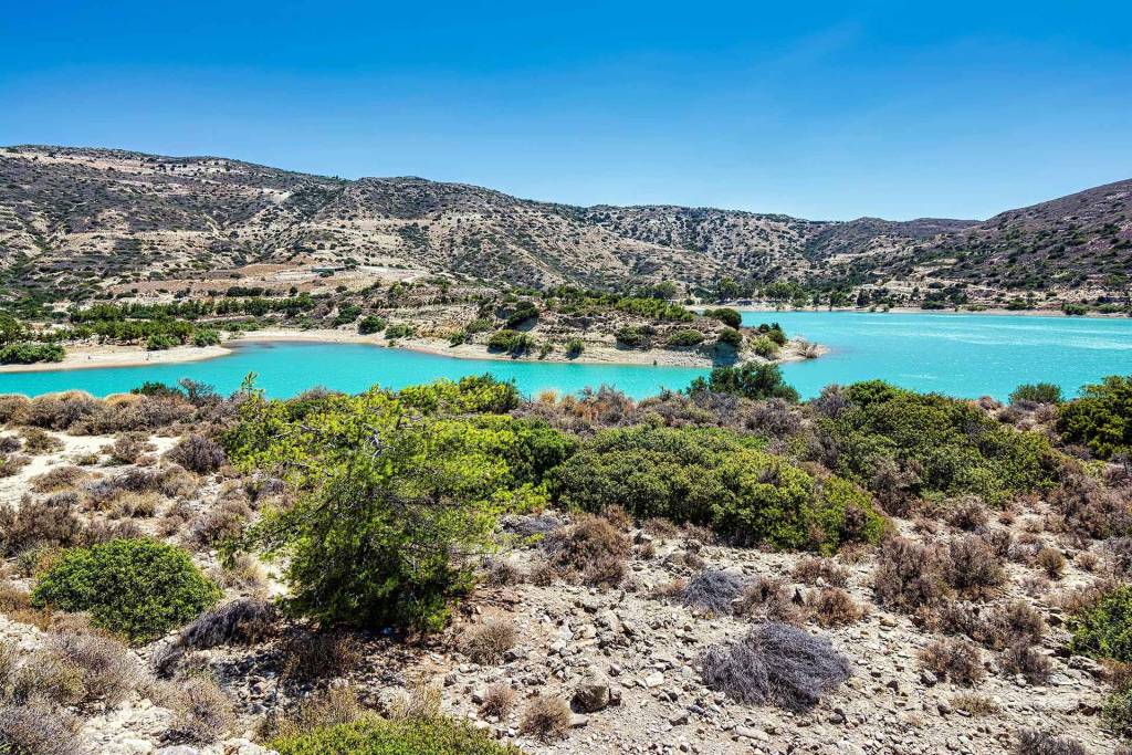 The vegetation of Bramiana Lake in Lasithi (Crete).