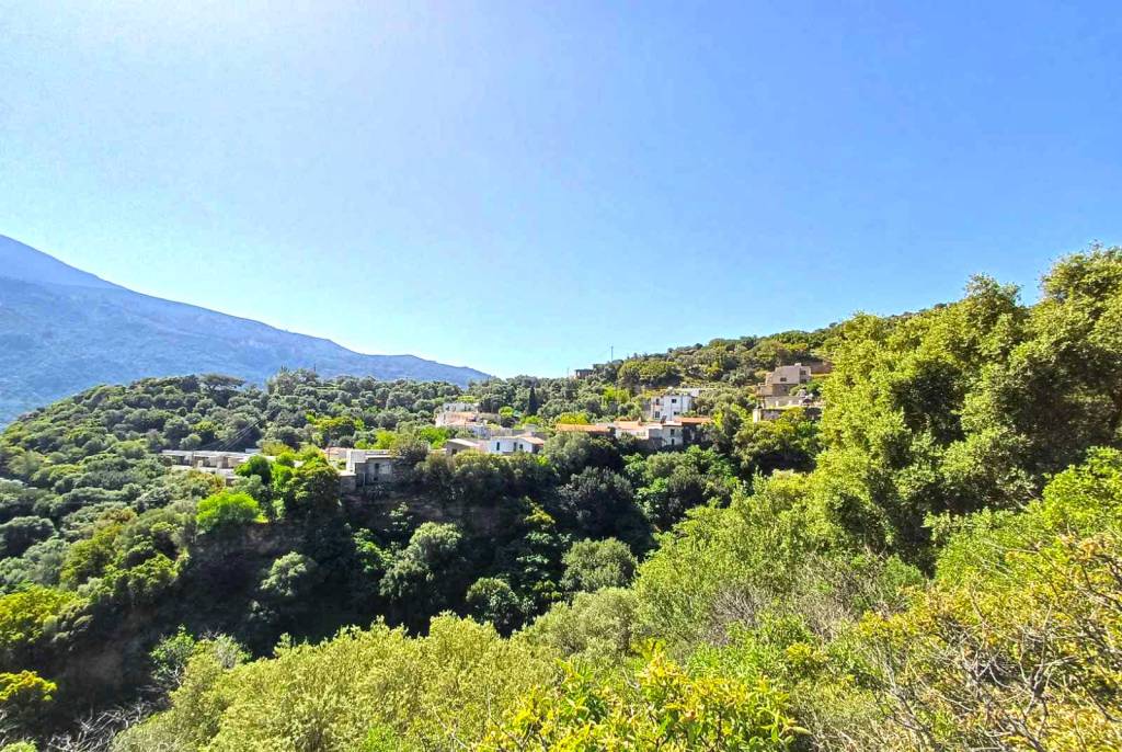 Moni Village is among the green trees.
