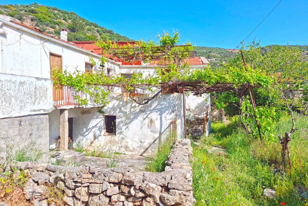 A small, cozy house in Moni.
