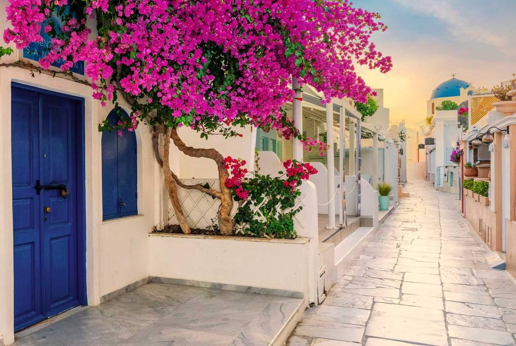 Bougainvillea, a white-washed building with a blue door, and narrow streets in Santorini.