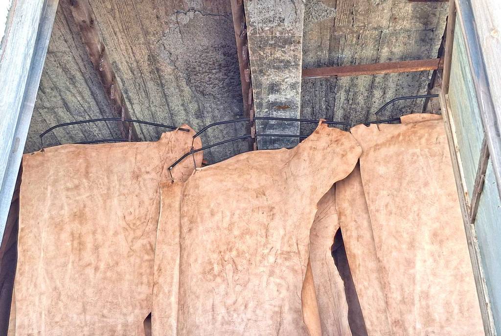 Leather in a tannery in Tabakaria.