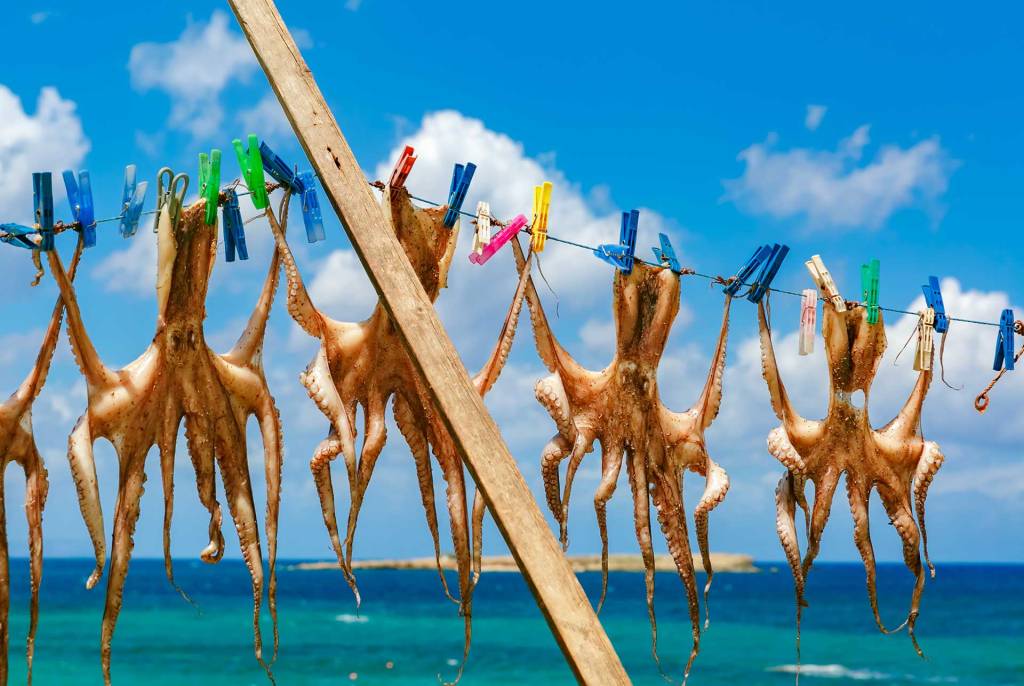 Drying Octopus in Nea Chora, one of the best seafood spots in Chania.