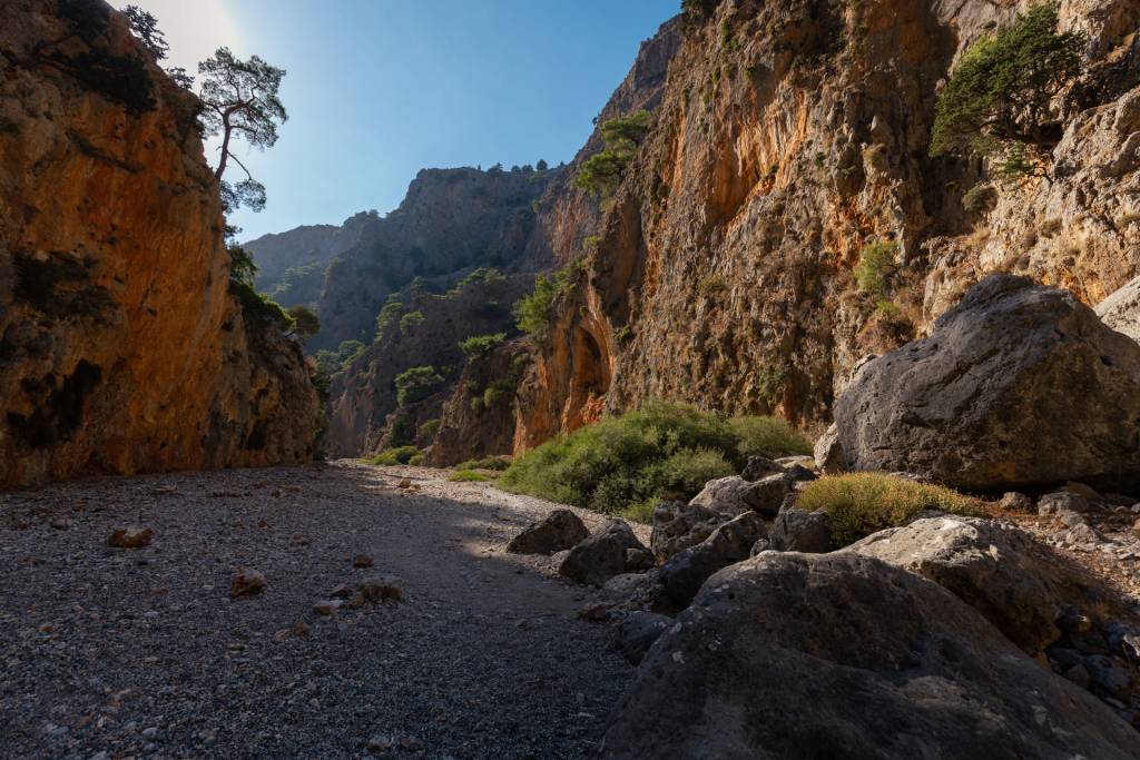 The vegetation of Aradena Gorge in Chania.