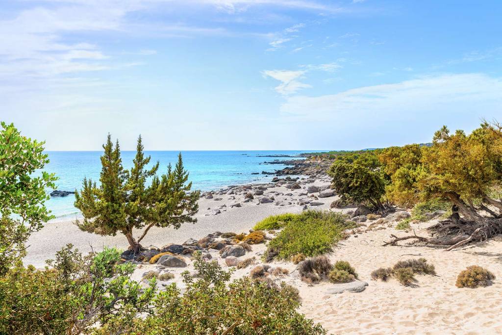 The sandy coast of Kedrodasos Beach with the cedar trees.