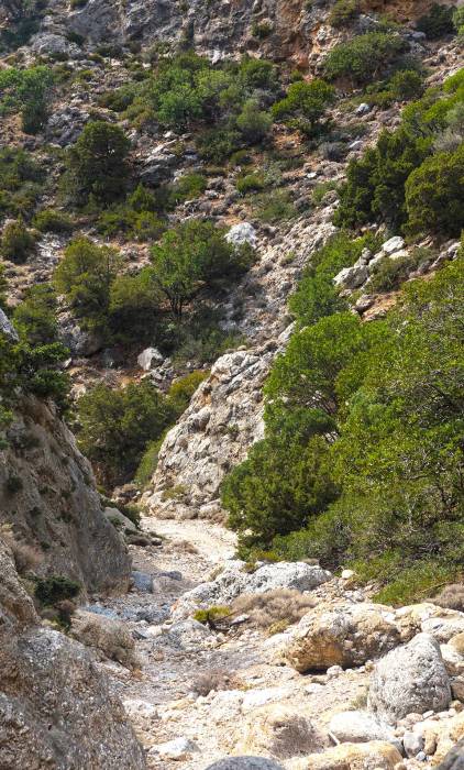The rocky path of Anidri Gorge in Chania.