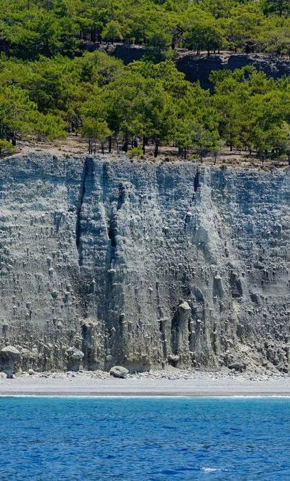 Trees of a cliff above Domata Beach in South Chania.