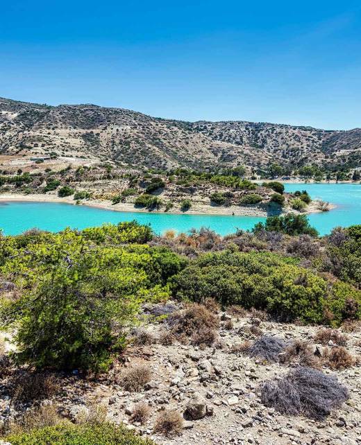 The vegetation of Bramiana Lake in Lasithi (Crete).