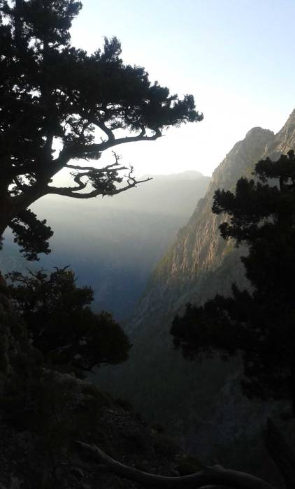 The shadows of the trees and the mountains in Samaria Gorge.