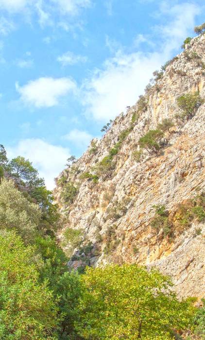 Rocky cliffs and trees at Therisso Gorge.