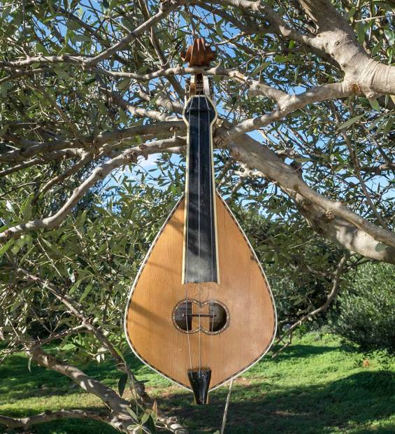 A Cretan Lyra is hanging from a tree.